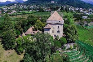 an old house on a hill with a vineyard at Brilliant apartment in Château du Châtelard in Montreux
