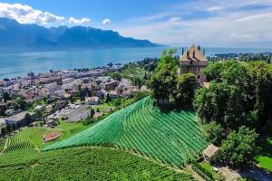 an aerial view of a vineyard and a castle on a hill near the water at Brilliant apartment in Château du Châtelard in Montreux +3 photos