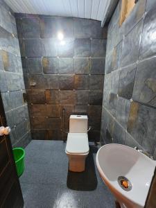 a bathroom with a toilet and a sink at Wildways Mudumalai Homestay in Masinagudi