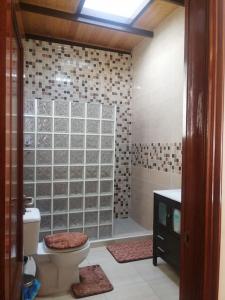 a bathroom with a shower and a toilet and a sink at Habitación matrimonial privada con areas compartidas in Las Lagunas