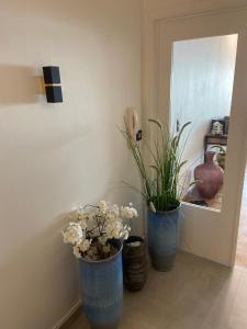 drei blaue Vasen mit Blumen in einem Raum in der Unterkunft Madame Mouette in Blankenberge