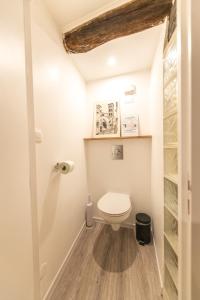 ein kleines Bad mit WC in einem Zimmer in der Unterkunft Cosylocation - Chaleureux - Hypercentre in Vienne