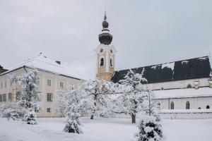 Alpen Appartements Zauchensee semasa musim sejuk