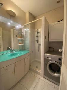 bagno con lavandino e lavatrice di Appartement Belle-vue a Beaucaire