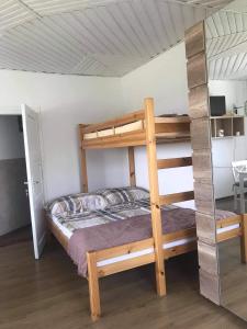 a bedroom with a bunk bed with a ladder at Agroturystyka Pod Dzwonnicą in Zubrzyca Górna