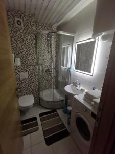 La salle de bains est pourvue d'une douche, de toilettes et d'un lavabo. dans l'établissement Delta Apartman, à Podgorica