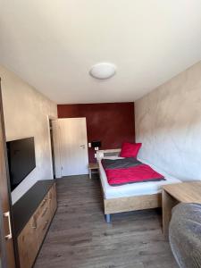 Schlafzimmer mit einem Bett mit einem roten Kissen und einem TV in der Unterkunft Gasthof Seeklause in Pfedelbach