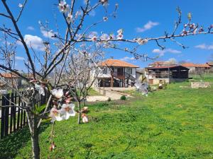 A garden outside Casa Lambuh