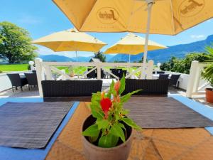 Paesaggio naturale nelle vicinanze dell'hotel