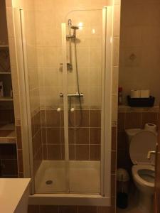 La salle de bains est pourvue d'une douche et de toilettes. dans l'établissement Maison de ville, à Romorantin-Lanthenay