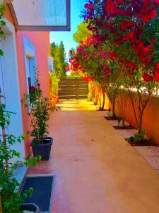a walkway leading to a building with red flowers at Guest House Navetta 2 in Fažana