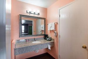 Koupelna v ubytování Econo Lodge Dalhart Hwy 54 - Hwy 287