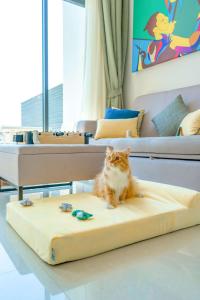 a cat sitting on a bed in a room at Cassia Phuket in Bang Tao Beach