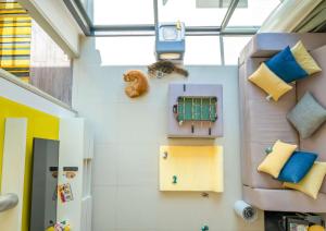 a cat is sitting on a wall in a room at Cassia Phuket in Bang Tao Beach