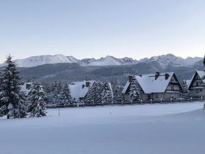 un grupo de casas cubiertas de nieve con montañas en el fondo en Apartamenty Willa Szafran z widokiem na góry en Zakopane
