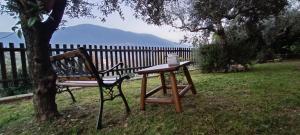 ein Picknicktisch und eine Bank neben einem Baum in der Unterkunft Beautiful Country House del Cuore in Giuliano di Roma