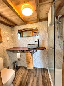 a bathroom with a sink and a shower at Tiny House-Hot Tub-St Clears-Pembrokeshire-Tenby in Carmarthen