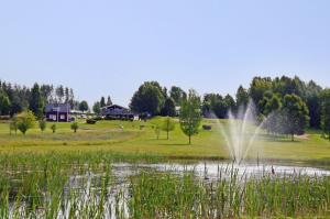 a pond with a fountain in the middle of a field at Utterbyn/Sirsjön 