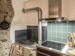 Kuchyň nebo kuchyňský kout v ubytování Apartment David am Buchhammerhof by Interhome