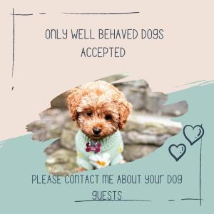 和主人一起入住Jacobs Retreat- Lido Beach- well behaved dogs welcome的宠物