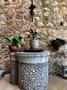 una pared de piedra con una mesa con macetas. en Casa Bougainvillea en Sóller