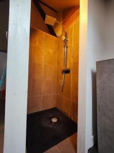 a bathroom with a shower with a toilet in it at Charmant Duplex Rue Colbert in Tours