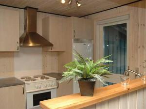 een keuken met een potplant op een aanrecht bij Holiday Home Jarmunrek - 1km from the sea in SE Jutland by Interhome in Hejls