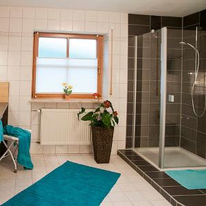 a bathroom with a shower and a potted plant at Ferienwohnungen Renner in Viereth-Trunstadt