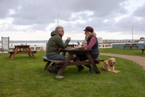 dos personas sentadas en una mesa de picnic con un perro en Anchor Guest House, en Haverfordwest