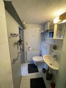 a small bathroom with a toilet and a sink at Kiwi Ferienwohnung in Bludenz