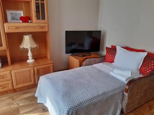 ein Schlafzimmer mit einem Bett, einem TV und einer Lampe in der Unterkunft Apartment Central Park in Daugavpils