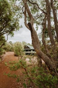 a tree with a house in the background at Yallingup Forest Resort in Yallingup