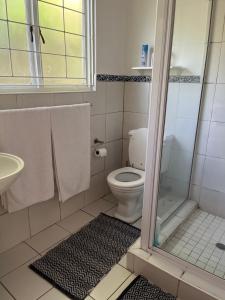 a bathroom with a toilet and a shower with towels at Hillcrest Haven cottage 2 in Hillcrest