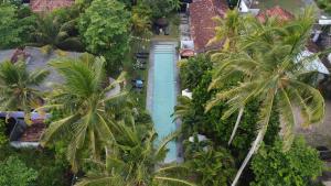 an overhead view of a swimming pool with palm trees at Turtle Eco Beach in Matara