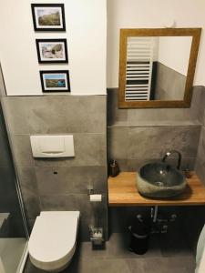 ein Badezimmer mit einem Waschbecken, einem WC und einem Spiegel in der Unterkunft Harzchalet Emma Braunlage in Braunlage