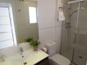 ein Bad mit einem WC, einem Waschbecken und einer Dusche in der Unterkunft Nerja Paradise Rentals - Villa Verania in Nerja