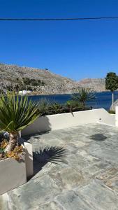 a garden with a retaining wall and some plants at Amalthea Luxury Suites in Symi