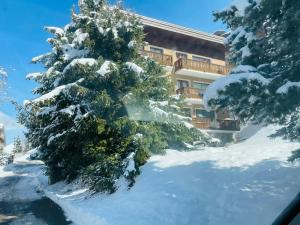 a snow covered tree in front of a building at Lovely Apt Chalet Courchevel 1650 in Courchevel