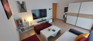 Televízia a/alebo spoločenská miestnosť v ubytovaní Apartman Perunika