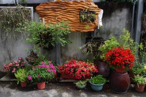 Zahrada ubytování Lost and Find Homestay