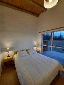 een slaapkamer met een groot bed en een groot raam bij Finca Los Racimos - Casa Syrah in San Rafael
