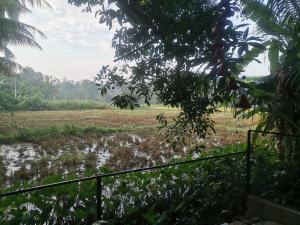un campo con una valla y un campo de hierba en Ceylon Ramble Villa, en Hikkaduwa