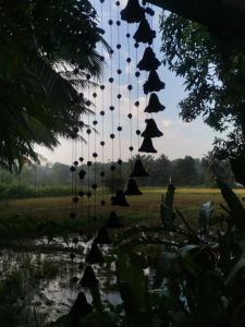 un grupo de murciélagos colgando de un árbol en Ceylon Ramble Villa, en Hikkaduwa