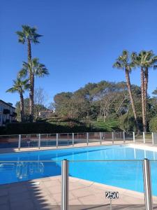 uma piscina com palmeiras ao fundo em Magnifique studio avec piscine em Mouans-Sartoux