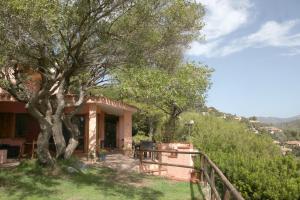une maison avec un arbre en face dans l'établissement Villa Olivastro, à Torre delle Stelle