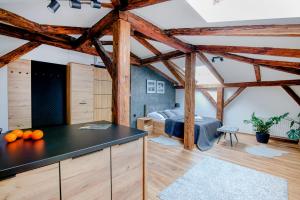 Kuchyňa alebo kuchynka v ubytovaní VIP Apartamenty