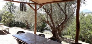 Fotografie z fotogalerie ubytování Casa Aurora v destinaci Poggio Cupro + 66 fotografií