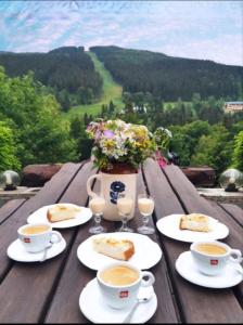 Gallery image of Pension Lucie in Špindlerův Mlýn