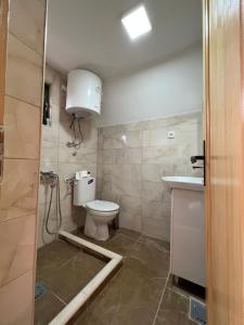 La salle de bains est pourvue de toilettes et d'un lavabo. dans l'établissement Brvnare Puljci, à Nova Varoš