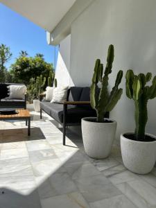 a living room with cactus plants and a couch at ALTAMIRA FAMILY APARTMENT El Duque in Adeje